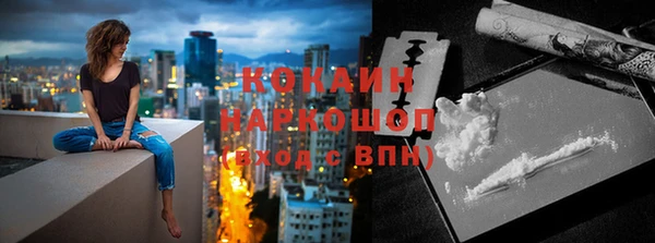 прущие грибы Белокуриха
