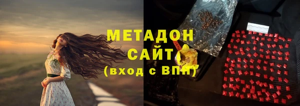 прущие грибы Белокуриха