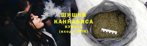скорость Гусев