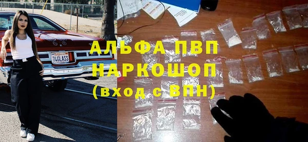 прущие грибы Белокуриха