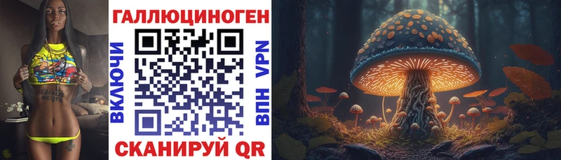 Галлюциногенные грибы Psilocybine cubensis  Вятские Поляны 